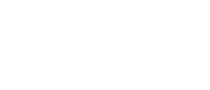 Truestone logo